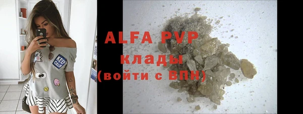 хмурый Абаза
