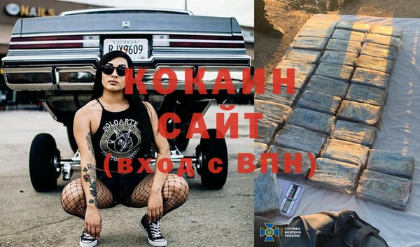 хмурый Абаза