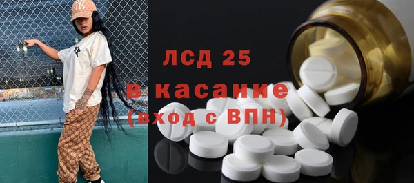 хмурый Абаза