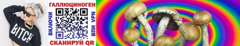 Галлюциногенные грибы Psilocybe  магазин продажи   Звенигород 