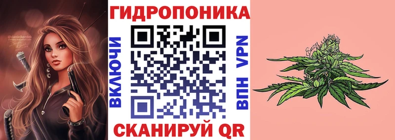 купить MEGA ссылки Каннабис семена Звенигород